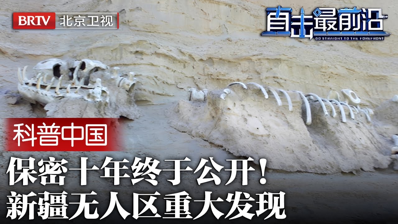 保密十年终于公开！新疆无人区重大发现，仅凭几块破损石头向世界证明，两百年科考成果激动人心【科普中国直击最前沿】