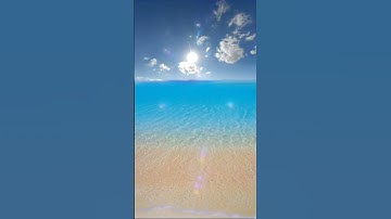 من روائع التلاوة ( قل ارايتم ان كان من عند الله ثم كفرتم به) #قرآن_كريم_راحة_نفسية #اكسبلور #explore