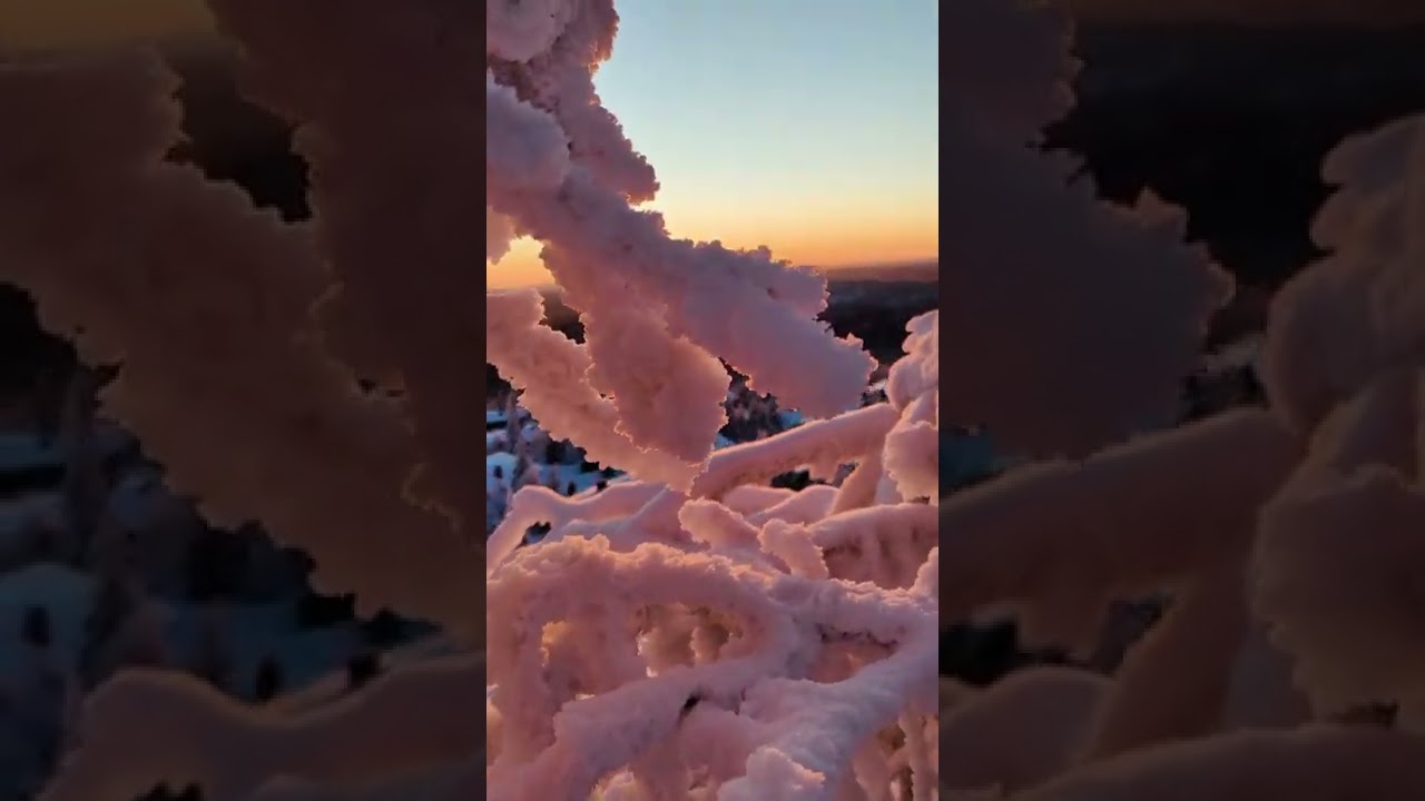 Sunset in Syöte🔥