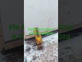 #работа#вахта #позитив #automobile