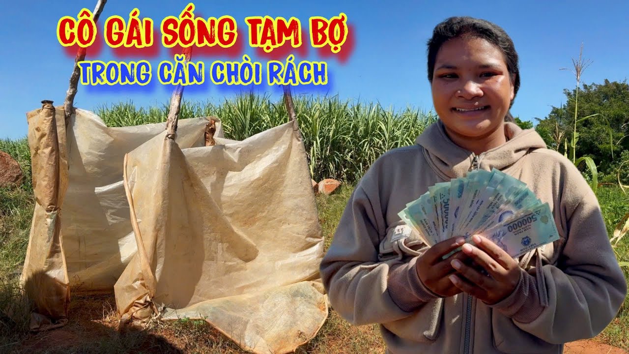 CHA RUỘT đuổi con gái ra khỏi nhà, cô gái sống TẠM BỢ chòi rách - tập 1568