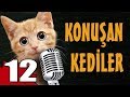 Konuşan Kediler 12 - En Komik Kedi Videoları