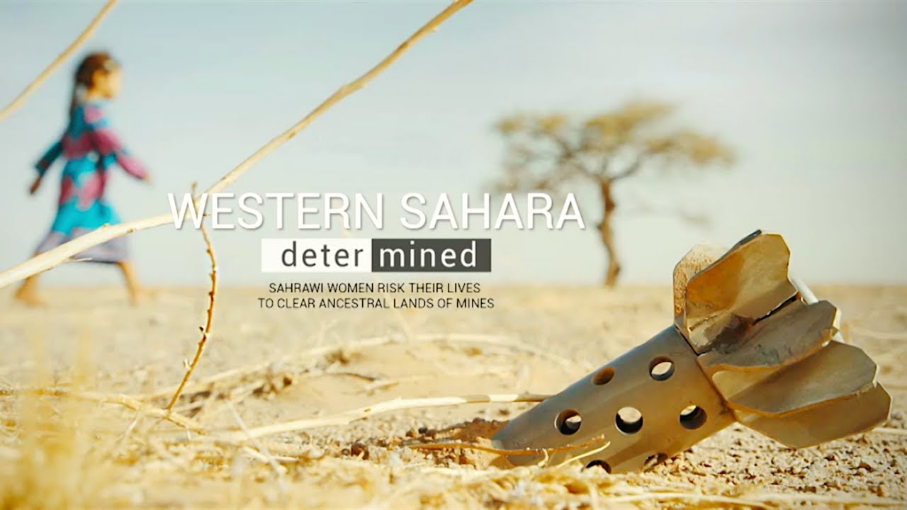 Western Sahara Determined | Sahrawi Women Risk Their Lives to Clear Ancestral Lands of Mines