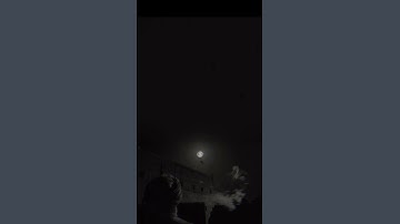 سورة الفتح • محمد رسول الله والذين معه أشداء #قران_كريم  #قران #سورة #ياسر_الدوسري