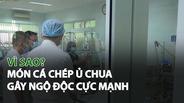 Vì sao món Cá Chép ủ chua gây Ngộ Độc cực mạnh?| VTC14