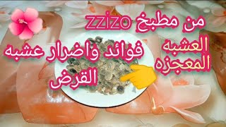 القرض العشبه المعجزه تعالج عده امراض وازاي اعمل مشروب القرض للمعده و للتخسيس والتجميل للبشره والشعر screenshot 3