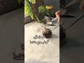 انتي كأنه فيكي شي غير وجع حلقك قهوتي قهوة تصويري قهوة Shorts قهوة Coffee تصويري فيروز 