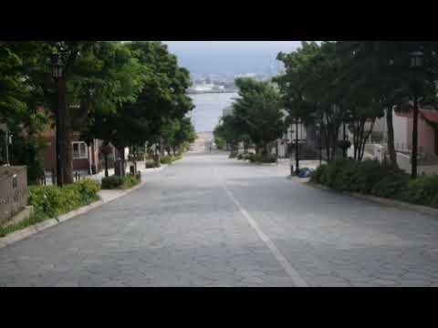 函館八幡坂から眺める風景