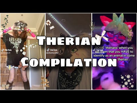 🐾 Therian Compilation!!