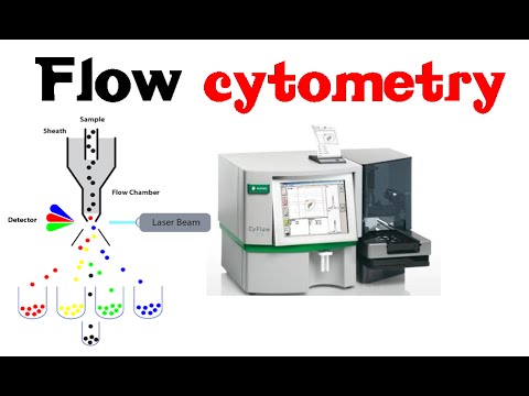 Flow Cytometry