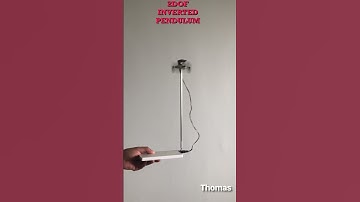 2DOF Inverted pendulum