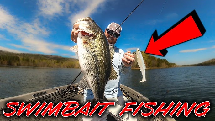 Targeting Giant Bass With Swimbaits! ( On The Water ) 