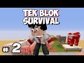 SEVİYE 3 ve ÇİFTLİK - Bölüm 2 - Tek Blok Survival (One Block)