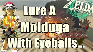 How to Kill A Molduga in Zelda Tears of the Kingdom