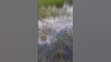 nhái hơi f35 TNT #caucaloc #f35 #caucaloctunhien #lure