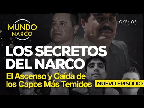 Los Secretos del Narco: El Ascenso y Caída de los Capos Más Temidos | Mundo Narco Chapitos Ep4