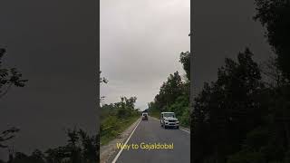Way to Gajaldoba ✅#scenery #nature#trending #beautiful #viral #mountains