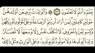 ربع(والوالدات يرضعن اولدهن)سورة البقرة مكتوبة بصوت الشيخ ياسر الدوسري / منوعات اسلامية