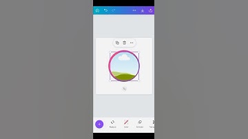 Create Professional looking Profile Picture using Canva | Canva tutorial | Shorts