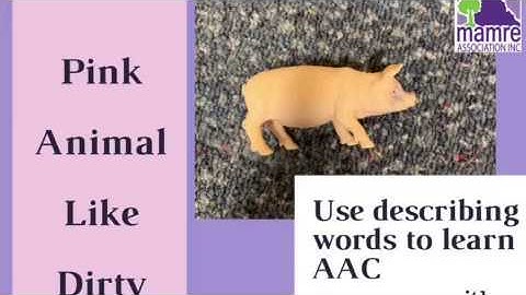 Use Describing Words to Learn AAC