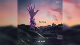 DJ Gamid - For A Feeling
