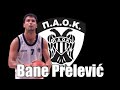 Bane Prelević PAOK BC Interview