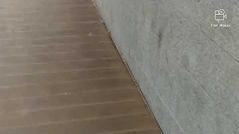 "F.O.C.D"-NSPCR Official Music Video