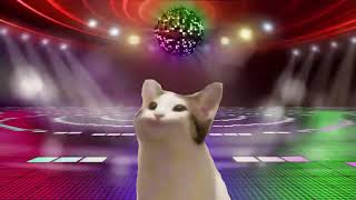 caramelldansen cat by k.w. Films 2,285 views 3 years ago 25 seconds