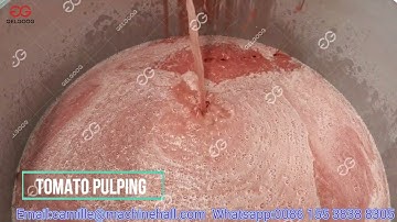 200KG/H Small Scale Tomato Paste Production Line