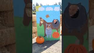 Pumpkin Picking: An Ellis Family Mini Vlog | Oct 2023