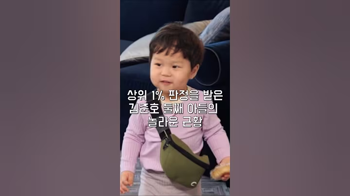 상위 1% 판정을 받은 김준호 둘째 아들의 놀라운 근황