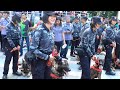 Aksi Anjing Pelacak Polisi Satwa K9 di CFD Jakarta