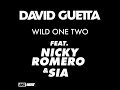 Jack Black Wild One Two Feat David Guetta Nicky Romero No ID Remix Instrumental 