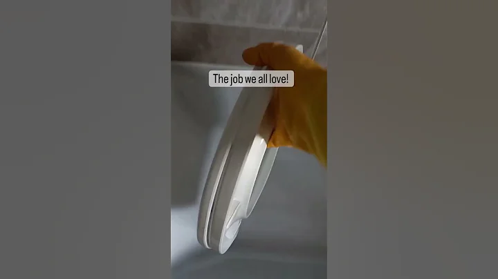Cleaning the Toilet