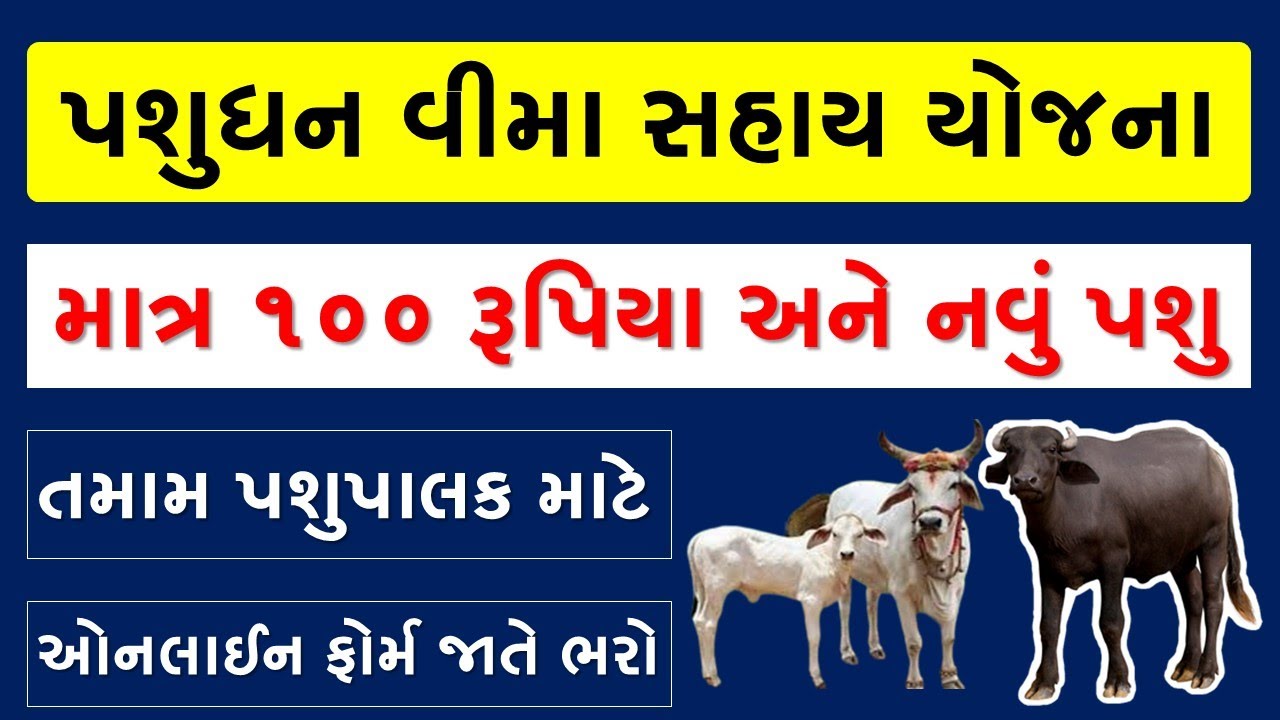 PASHUPALAN | PASHUDHAN VIMA SAHAY YOJANA GUJARAT | VIMA SAHAY YOJANA GUJARAT ONLINE APPLY