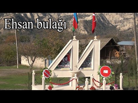 Video: Çəhrayı Qızılbalıq Ilə Kiş-lauren