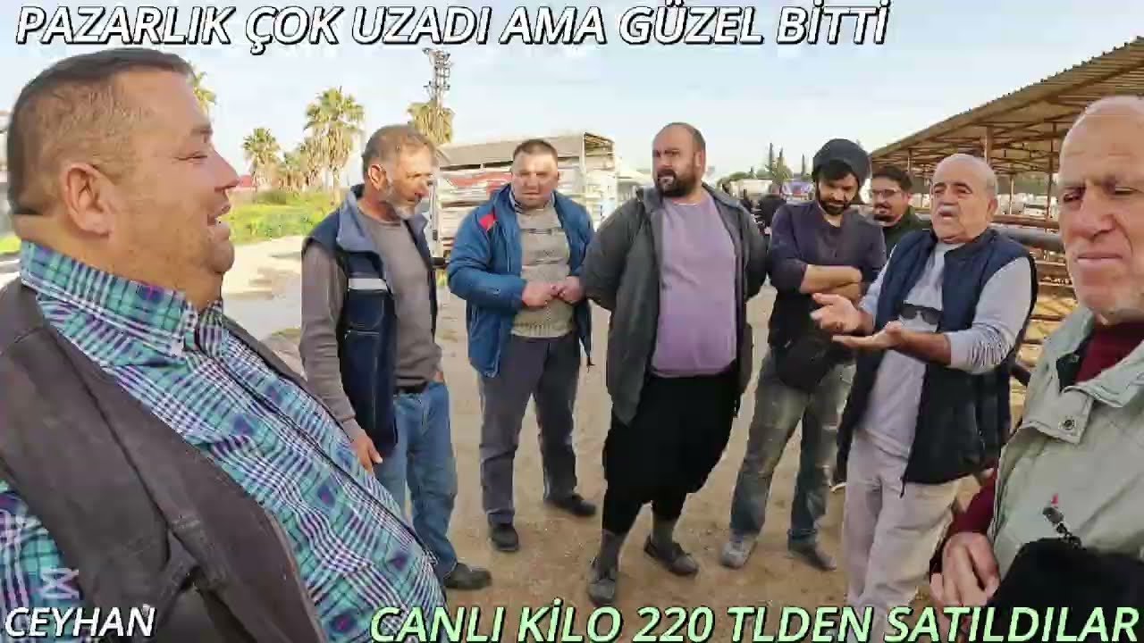 28. 03.2025 CEYHAN KÜÇÜKBAŞ HAYVAN PAZARI #kuzu#hayvanpazari #koyun#adak #kurbanlık