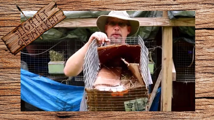 What is the Best Nest Box For Rabbits? - the SR Rabbit Update 8-21-18