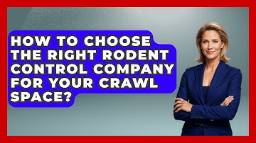 How To Choose The Right Rodent Control Company For Your Crawl Space? - Insects and Invaders