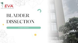 1 .Bladder dissection