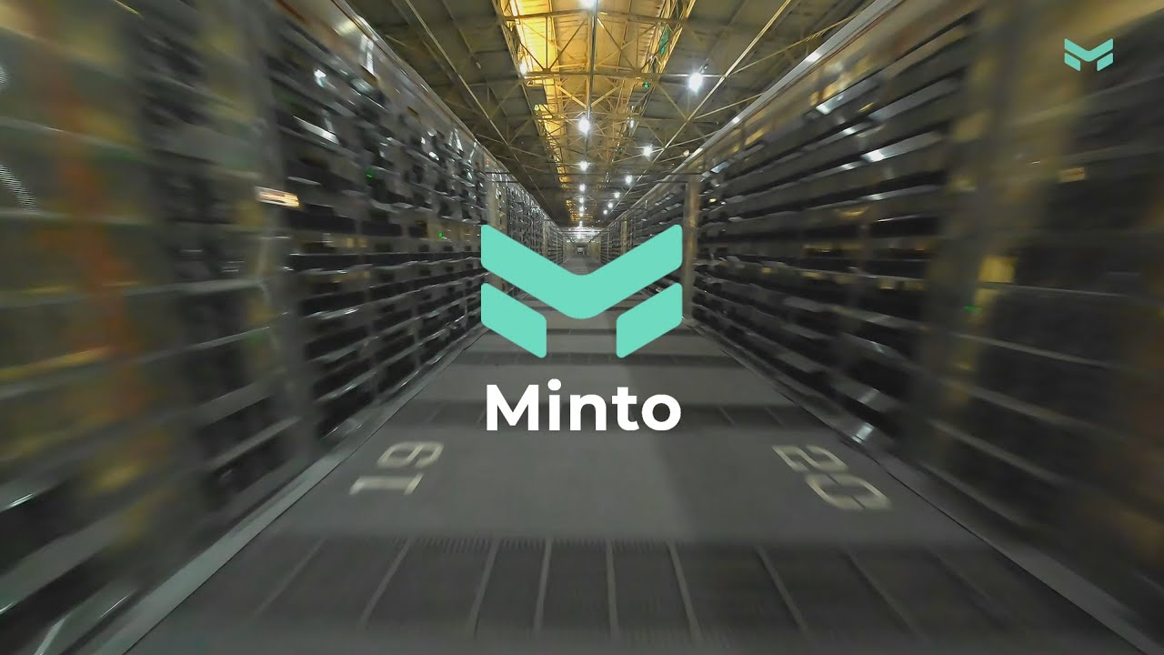 How does Minto look like
