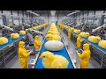 How Millions of Chickens Are Processed in Modern Poultry Factories