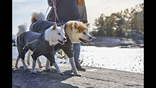 Dress, Fit Go - Hurtta Midlayer Overall