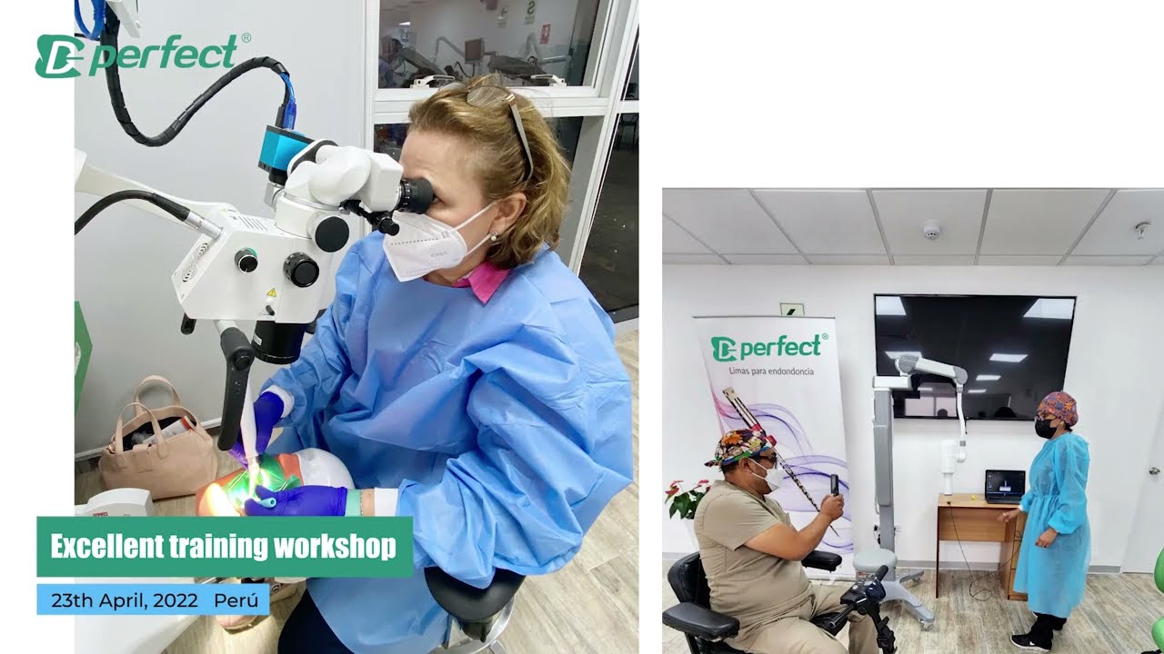 Perfect Endo. Exhibitions & Lectures  March - May