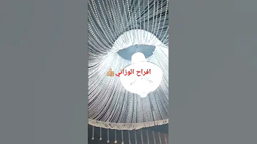 افراح الوزاني 