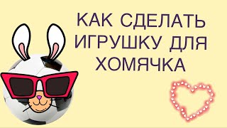 КАК СДЕЛАТЬ ИГРУШКУ ДЛЯ ХОМЯКА / ИГРУШКА ДЛЯ ХОМЯКА/ДЖУНГАРСКИЙ ХОМЯК