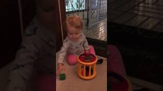 Manipulative Play Net Worth