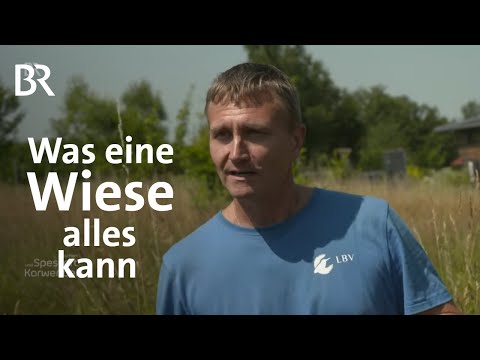 Video: Was ist der Unterschied zwischen einer Wiese und einer Prärie?