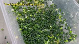 Fully Automatic Onion Slicing Machine 802H Teemyeah Machinery