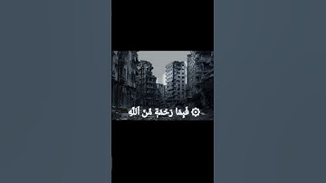 سورة آل عمران ـ الشيخ ياسر الدوسري #القرآن_الكريم #قرآن #قران_كريم